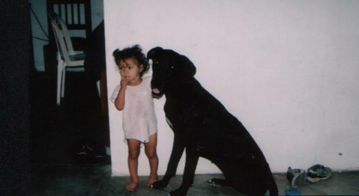 Mi gran compañera y amiga, siempre con una mirada de amor hacia nosotros que la queríamos tanto.